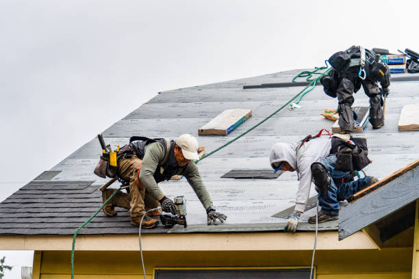 Professional Storm Damage Roof Repair technician working in Calera, AL
